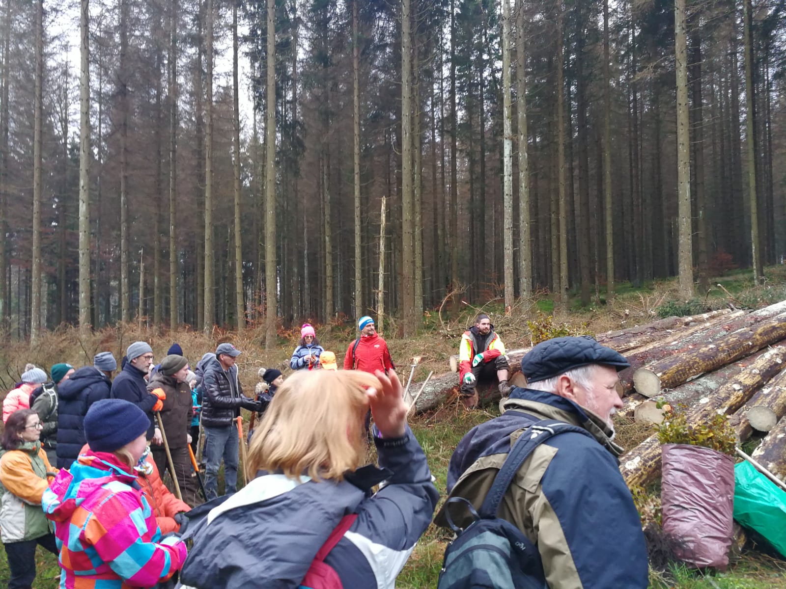 Der höchste deutsche Lionswald entsteht